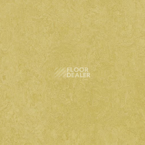 Линолеум Forbo Marmoleum Decibel on Order 325935 mustard фото 1 | FLOORDEALER